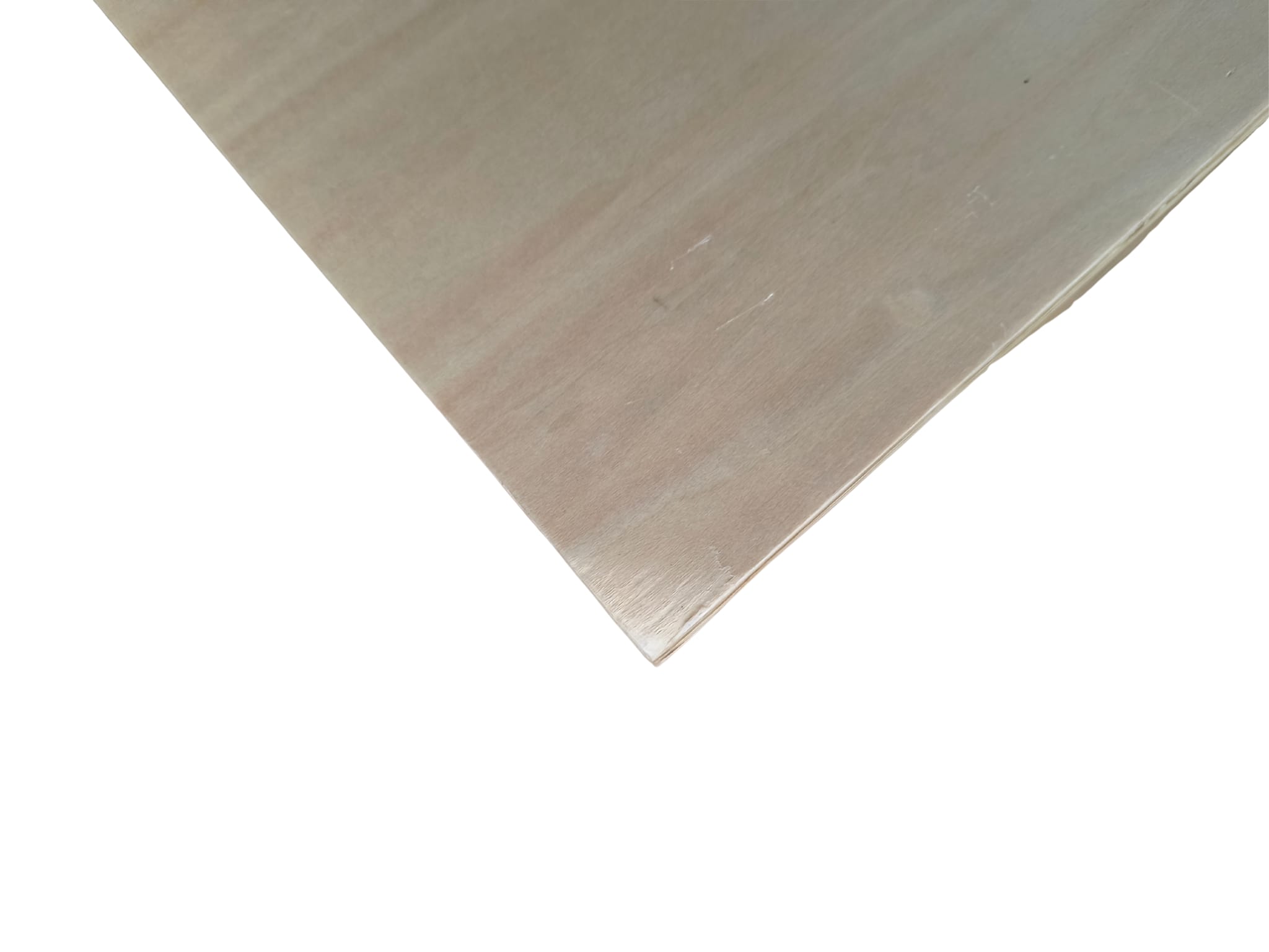 WhatsApp Image 2025-11-20 at 11.24.24